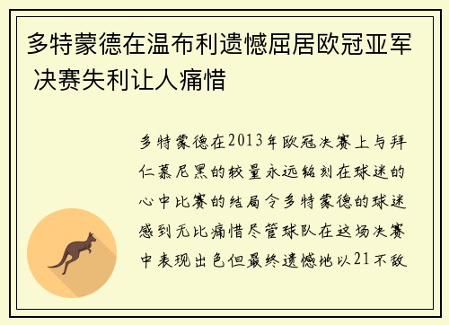 多特蒙德在温布利遗憾屈居欧冠亚军 决赛失利让人痛惜